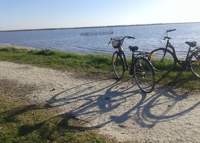 Pagnol * Andernos-les-Bains